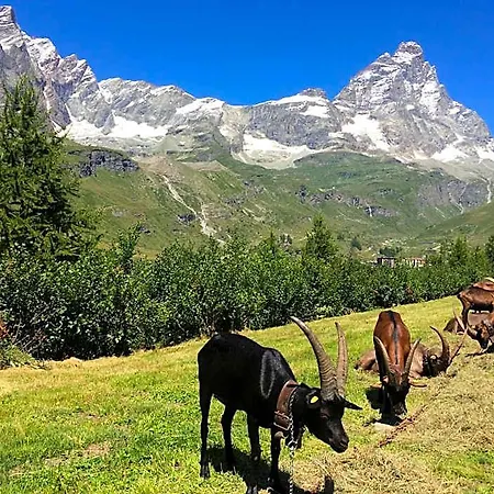 Mignon 3* Breuil-Cervinia