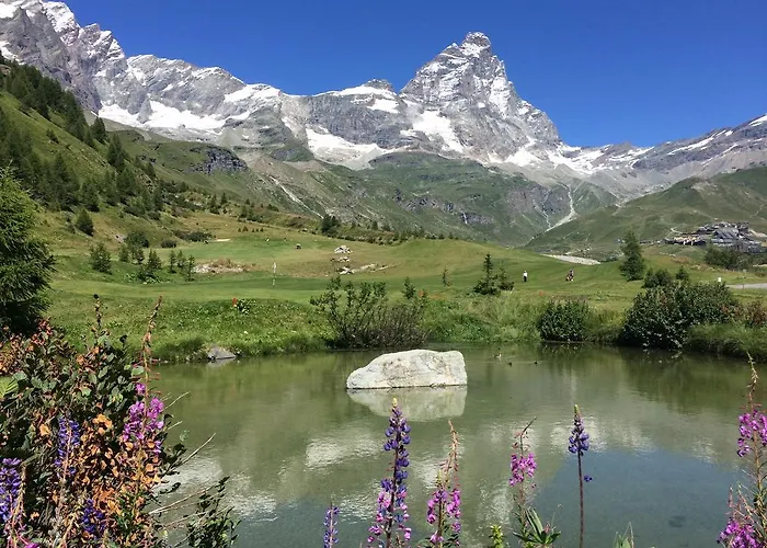 酒店 米尼翁酒店 布勒伊-切尔维尼亚