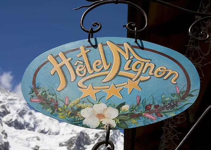 酒店 米尼翁酒店 3*